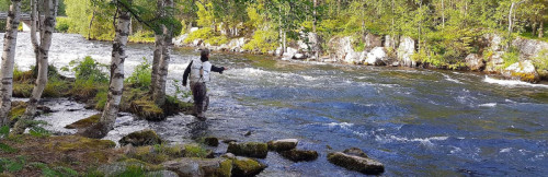 Rivière Ala-Arojaki (Finlande)