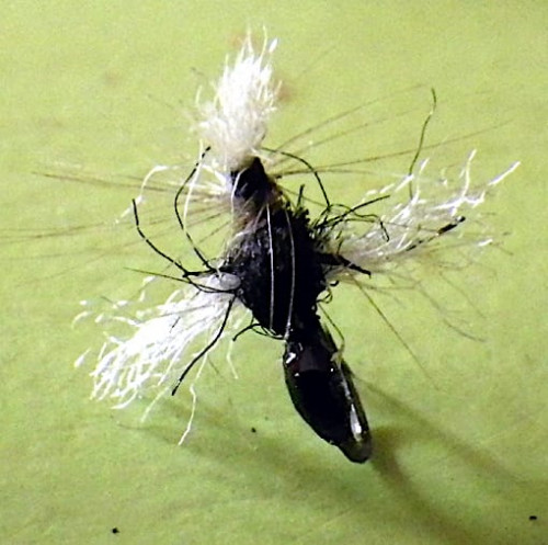 Fourmi spent parachute