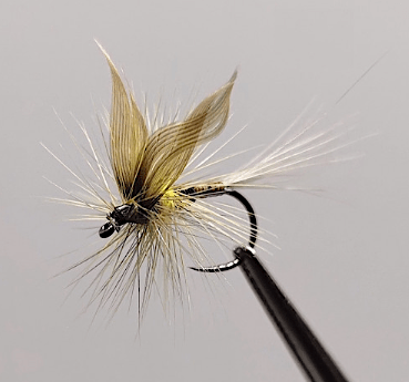 GALLICA N° 14 - olive bleu de fer, subimago femelle