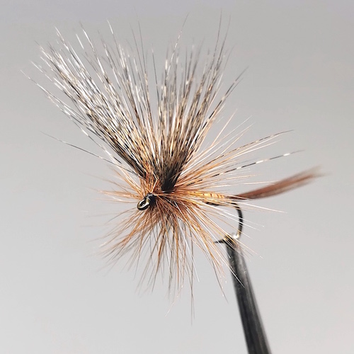 Gallica No. 1 – Éphéméra Vulgata, subimago mâle