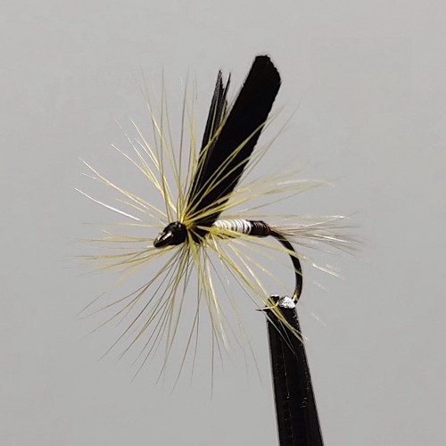 GALLICA N° 13 - olive bleu de fer, subimago mâle