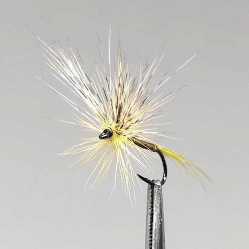 GALLICA N° 6 - olive moyenne, subimago mâle