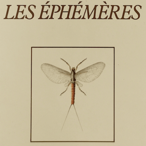 LES ÉPHÉMÈRES (1986)