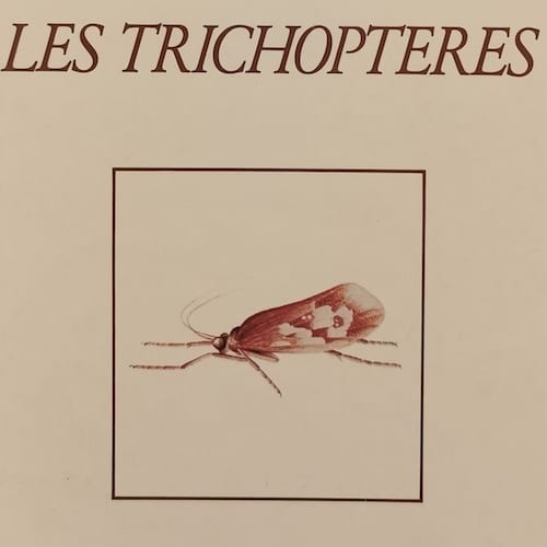 LES TRICHOPTÈRES (1989)