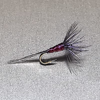 Gnat avancé (échange de mouches 01-03/23)