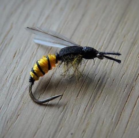 Guêpe noyée (échange de mouches 10-11/21)