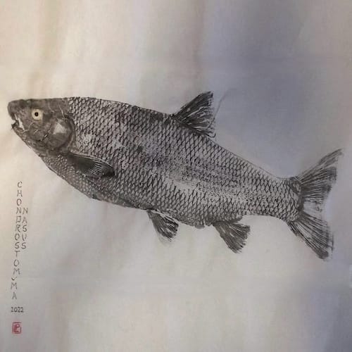 Site (01/23) Lapoisse/Pierrot