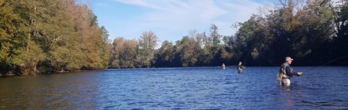 Éclotron 2021 - Hervé19, MS25210 et Aubazine