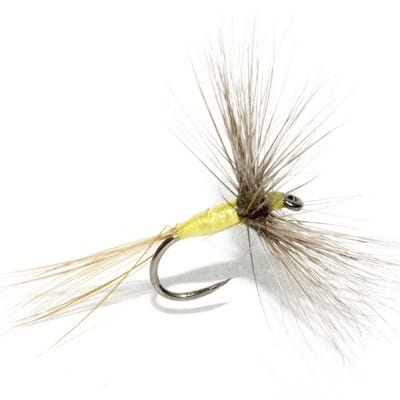 A4 de Mig (échange de mouches 01-03/23)