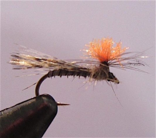 Sedge PP