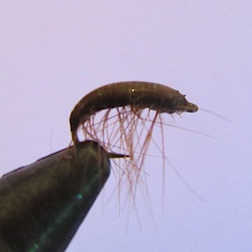 Le GAamarre (selon Nicolas Germain)