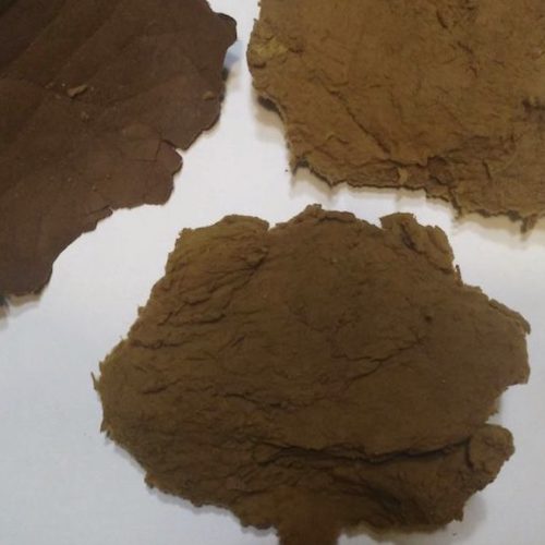 Site (05/20) Epeorus