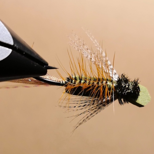 Gurgler roux/olive - (échange 06-07/2020)