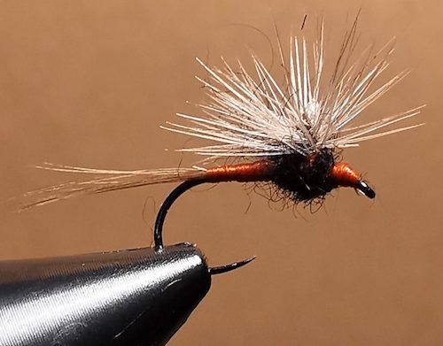 Parachute au nylon (échange de mouches 10-11/2020)