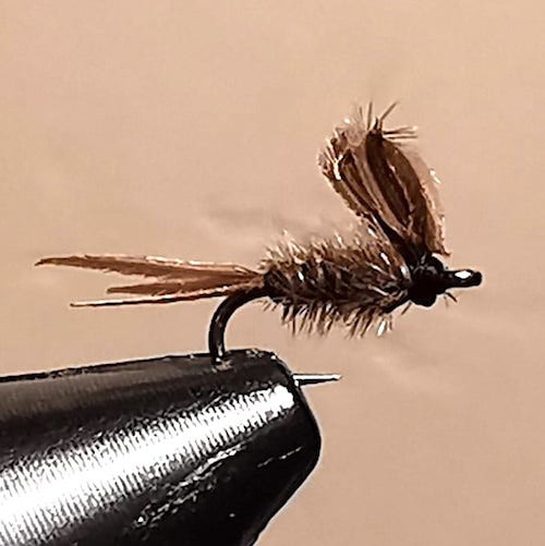 Gnat 100% vautour 14 (échange mouches 11/2020 - 01/2021)