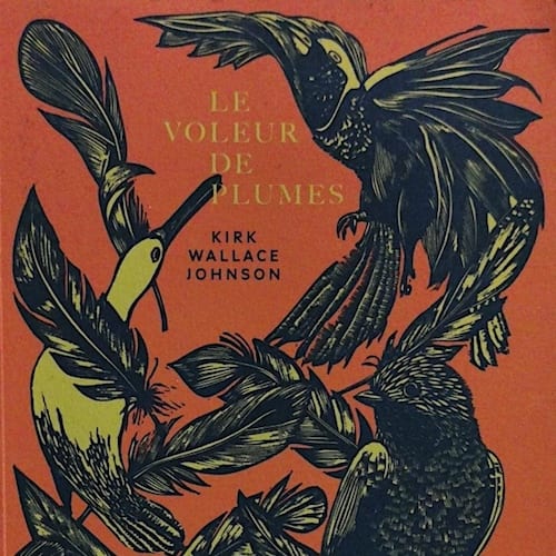LE VOLEUR DE PLUMES (2020)