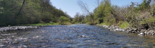 Le Vert, affluent du Gava d'Oloron (64) à Ance