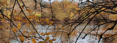 TIMTIM38 sur la Dordogne à Escourbaniers (19)
