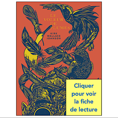 JOHNSON / LE VOLEUR DE PLUMES