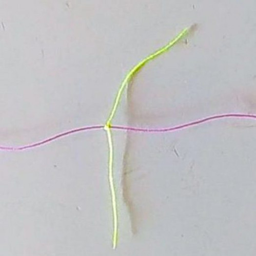 SITE (07/22) Jeanma57