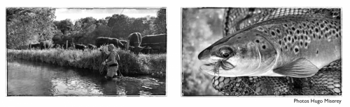 Ballade Normande Johann