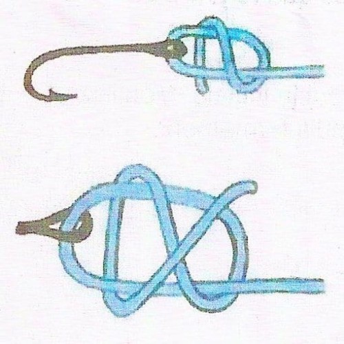 Forum (01/21) Cornélius