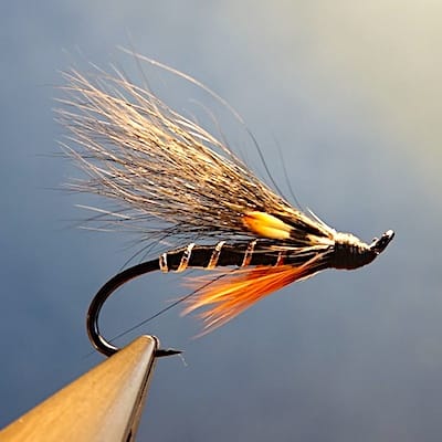 Dovey Black & Orange