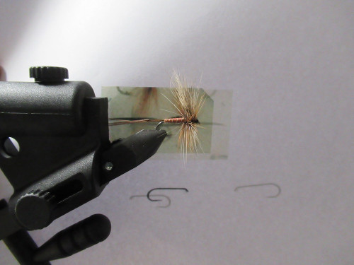 Forum (04/22) Lapoisse