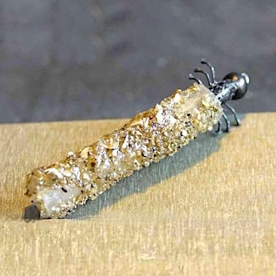 Larve de trichoptère dans son fourreau