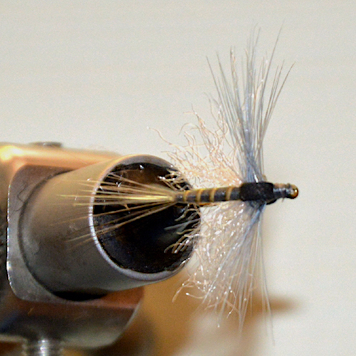 Forum (07/20) Blajoux