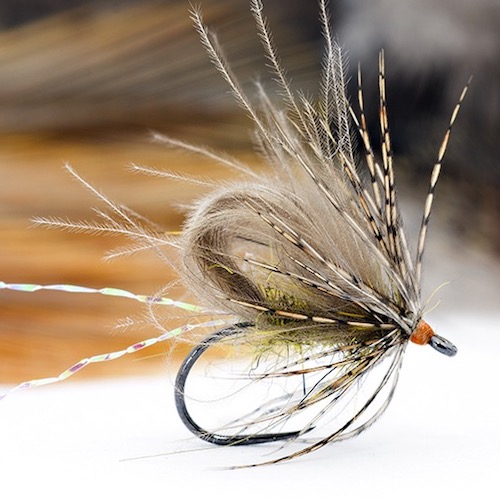 Forum (03/20) Lapoisse