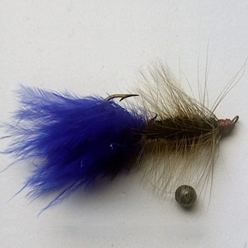 Site (01/21) Seagull29