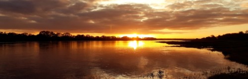L'envoûtante rivière Loire, à La Possonnière (49)