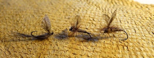 March Brown-montages de Lapoisse