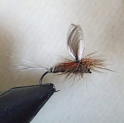 March brown parachute sur ailes origami (échange de mouches 03-04/2020)