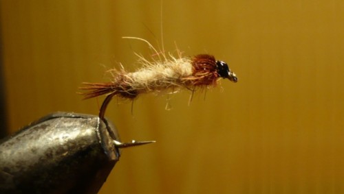 Nymphe de Mai, type ABFL (échange de mouches 05-07/21)