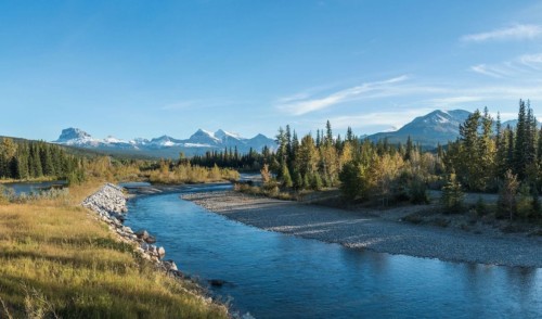 INVENTAIRE DES LIVRES DE NATURE WRITING TRADUITS EN FRANÇAIS