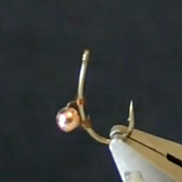 Forum (01/21) Pierrot