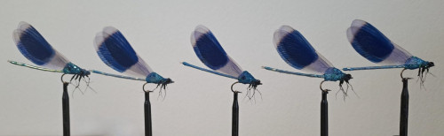 Montage réaliste de TONIO