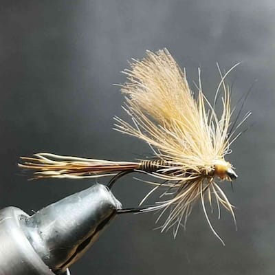 March Brown façon JP Dessaigne 