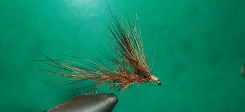 March brown Queue de renard