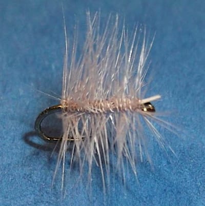 Merdouille palmer (échange mouches 11/2020 - 01/2021)