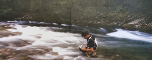 Mes carnets de pêche à la mouche Tome 2 - Hervé THOMAS