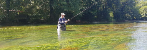 ms25210 sur la Touvre (16)