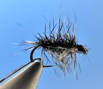 Gnat (selon Davie Mc PHAIL)