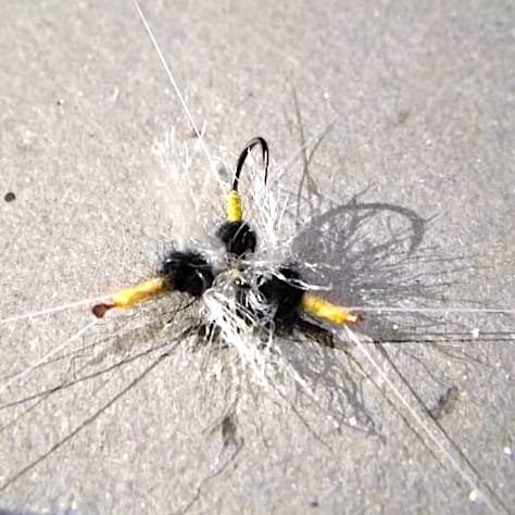 Forum (11/20) Anonyme