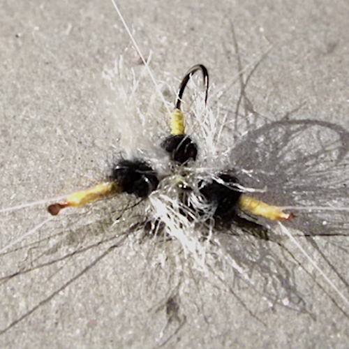 Forum (11/20) Anonyme