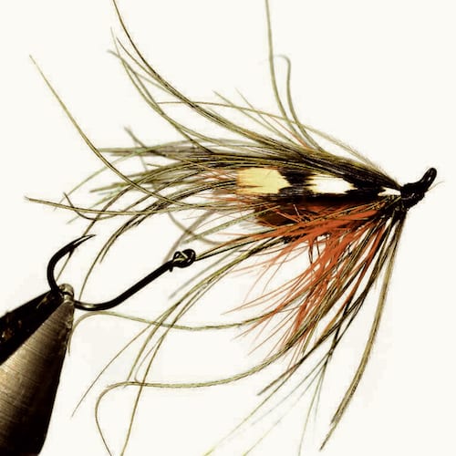 Forum (05/21) Seagull29