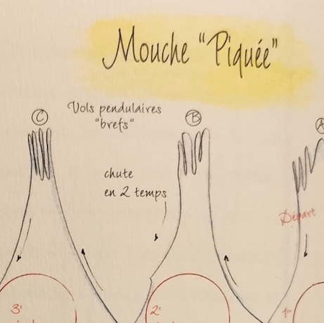 Forum (10/21) Pierrot