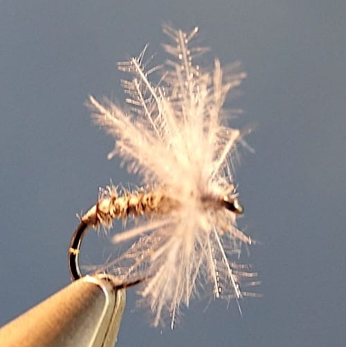 Moucheron avec herl de héron